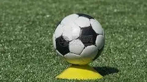 EVO视讯官网 产品 111336 zd2