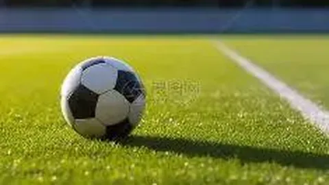 EVO视讯官网 产品 112027 yod